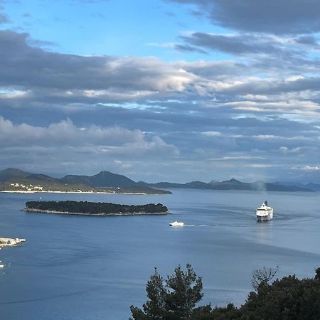 View Dubrovnik Apartment Bagian luar foto