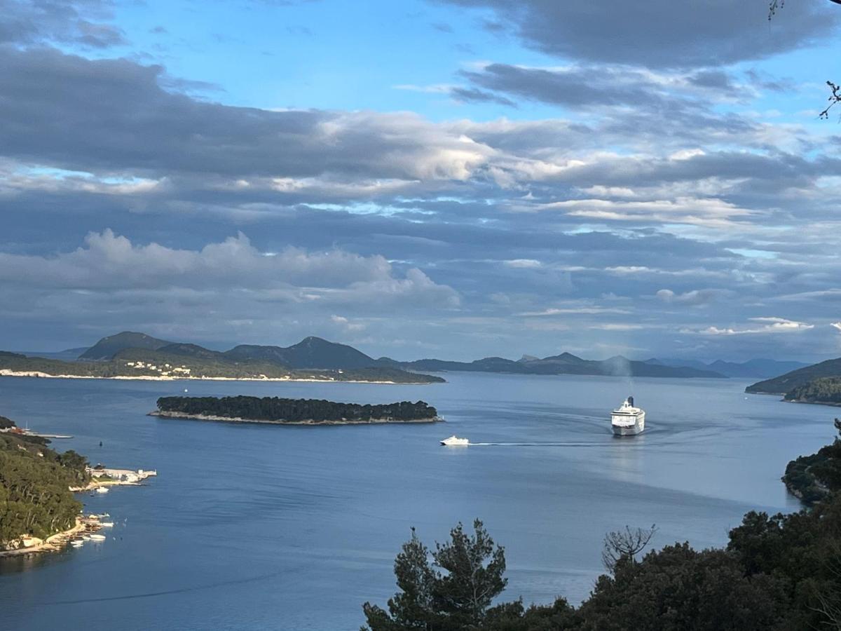 View Dubrovnik Apartment Bagian luar foto